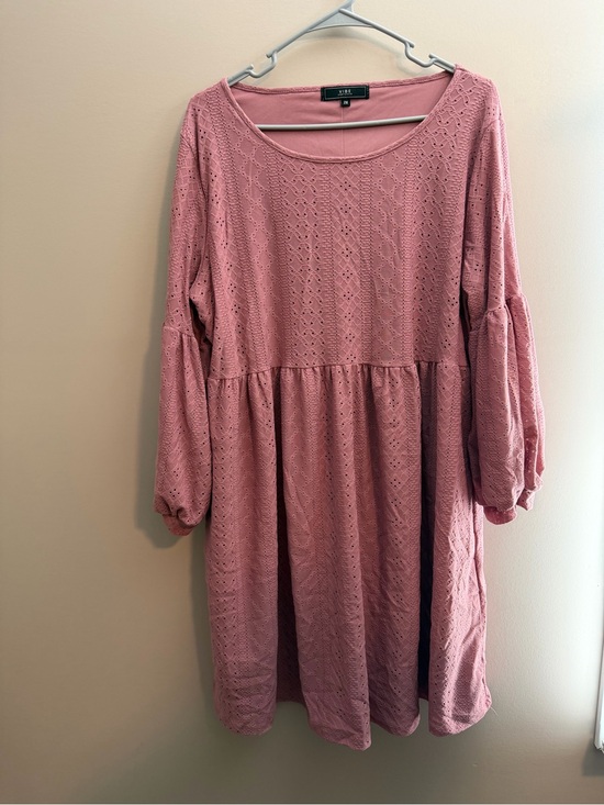 Vibe Dresses & Skirts - Vibe Dusty Rose Eyelet Babydoll dress